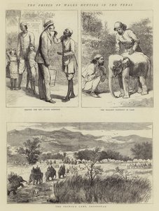 The Prince of Wales hunting in the Terai by Alfred Chantrey Corbould